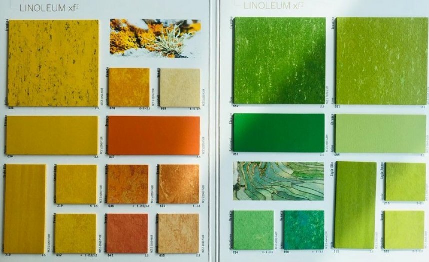 Linolyum Zemin Kaplama